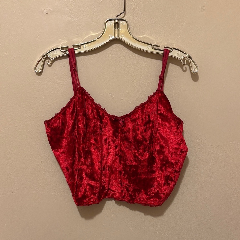 Fashion Nova Red Velvet Crop Top